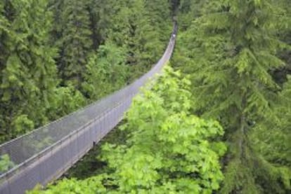 Puente colgante Capitalino.