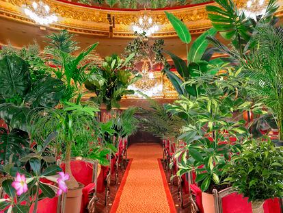 La platea del teatro Liceo con las plantas que ocupan sus butacas como espectadoras de un concierto.