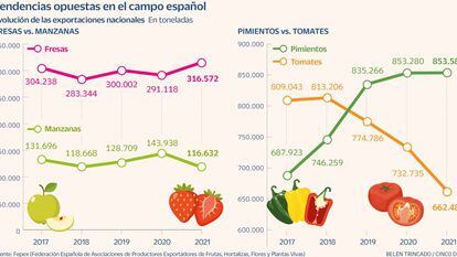 Por qué crecen los envíos de pimiento y fresa y caen los de tomate y manzana