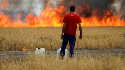 Un pastor observaba un incendio que quema un campo de trigo entre Tábara y Losacio, en la provincia de Zamora, el lunes.