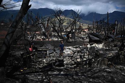 Un habitante, junto a su familia, busca pertenencias entre las cenizas de su casa quemada, este viernes en Lahaina (Hawái). 