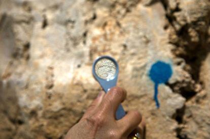 La concha fosilizada de un caracol acuático en una roca caliza de la Alcarria.