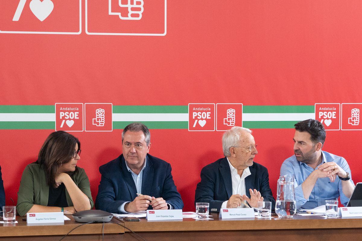 Exploring the Future of Andalusian PSOE in Spain – A Comprehensive Analysis