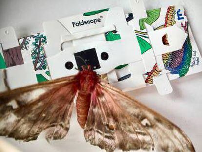 El Foldscope funciona sin electricidad, pesa 10 gramos y magnifica hasta 2.000 veces.