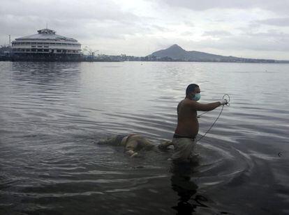 Un filipino recupera el cadáver de una persona del agua tras el paso del devastador tifón Haiyan por la ciudad de Tacloban.
