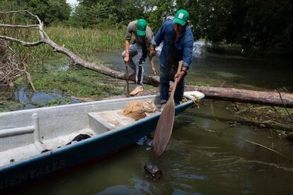 Pescadores recogen basura en el gran pantano de Barrancabermeja (Colombia).