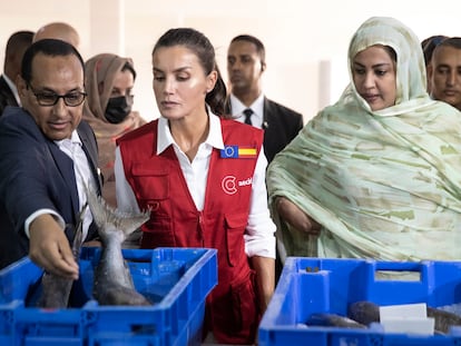 La reina Letizia, junto a la primera dama de Mauritania, Fadel Dah, durante su visita al proyecto de distribución de pescado gestionado por la plataforma logística de Sociedad Nacional de Distribución de Pescado Congelado, este miércoles 1 de junio en Nuakchot, Mauritania.