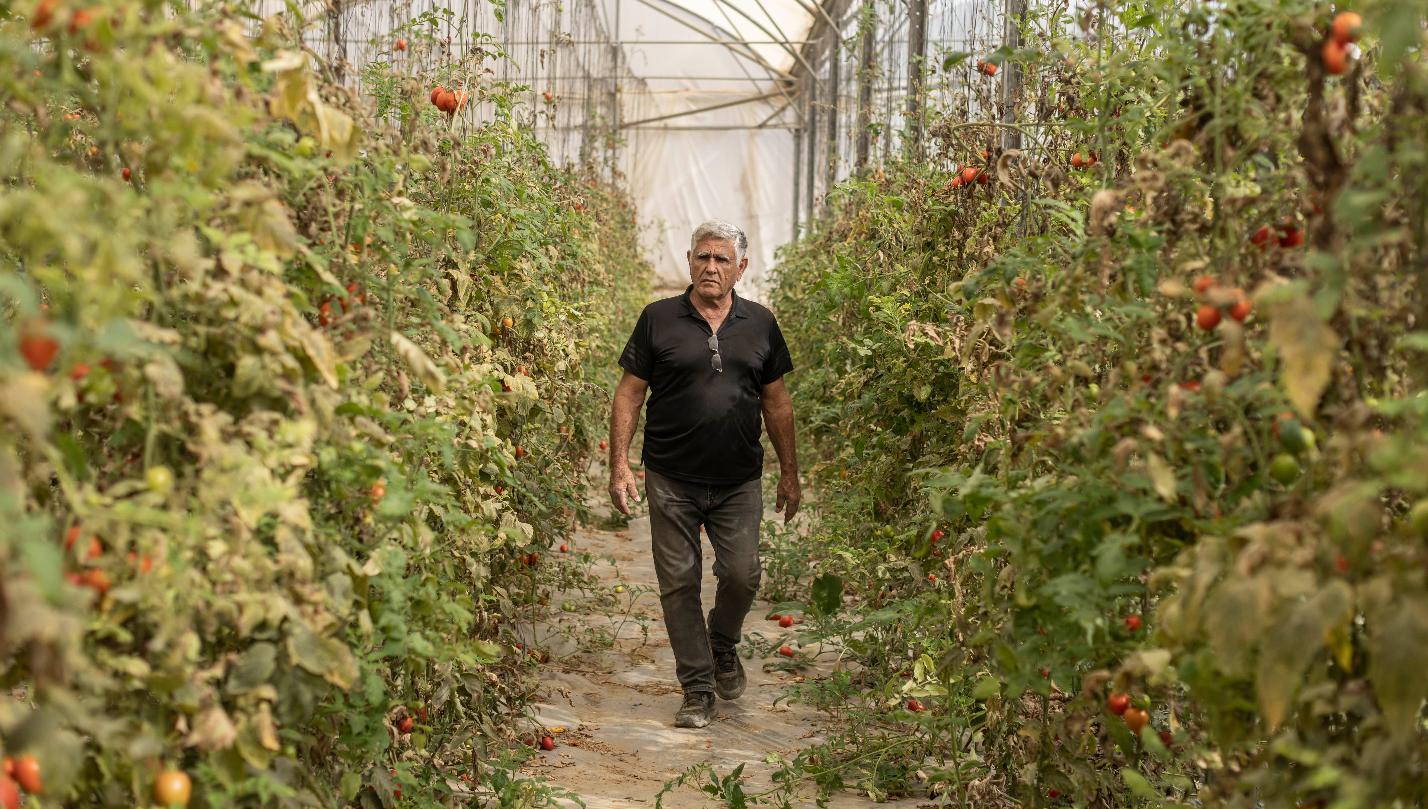 La guerra sume a la agricultura israelí en la mayor crisis de su historia