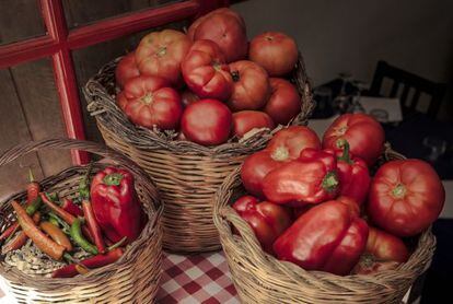 Un ejercicio de resistencia y fidelidad: plantar tomateras y consumir tomates ciertos, honestos.