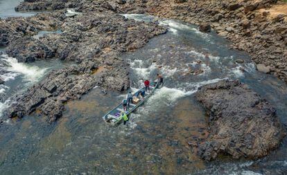 En la Vuelta Grande del Xingú, la región más afectada por la hidroeléctrica de Belo Monte, la escasez de agua ha provocado la muerte en masa de peces, ha generado la inseguridad alimentaria de los indígenas y ribereños e impide la movilidad de la población.