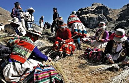 Durante tres jornadas, los campesinos quechuas de la provincia de Canas recolectan y fabrican a mano las cuerdas del puente con fibras vegetales de la zona.