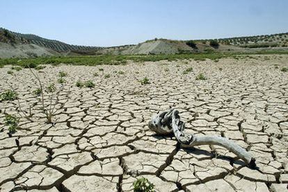 Pantano de Vadomojón (Jaén), afectado por la sequía.