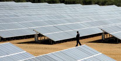 Un hombre supervisa un huerto solar de Jaén.