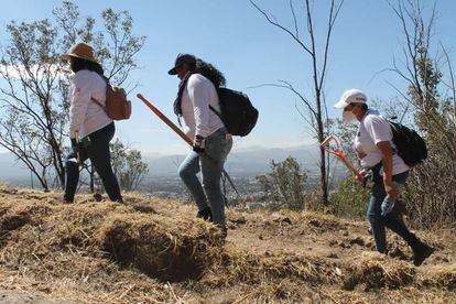 Socorro Gil y dos compañeras durante una búsqueda en el cerro de la Estrella, en Ciudad de México, en marzo 2022.