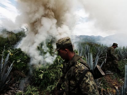 Soldados mexicanos destruyen un plantío de marihuana del Cartel de Sinaloa en la sierra del mismo Estado.