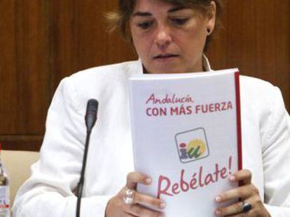 Elena Cort&eacute;s, consejera de Fomento de la Junta de Andaluc&iacute;a.