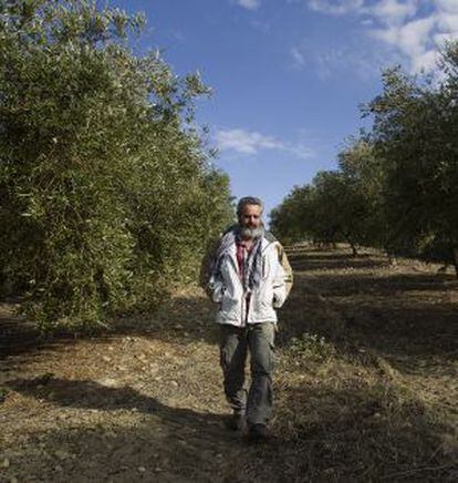 Gordillo pasea por los campos de Marinaleda.