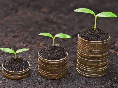 Invertir en la sociedad, un deber rentable