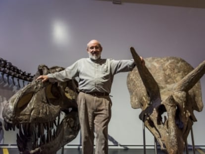 ¿Pájaros con dientes? Este paleontólogo ha dedicado su vida a buscar el eslabón perdido entre los dinosaurios y las aves actuales.