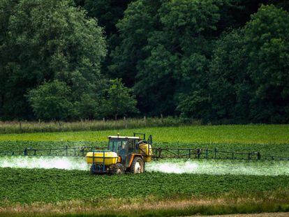 Aplicación de pesticidas en una explotación agrícola de Bailleul, en el norte de Francia.