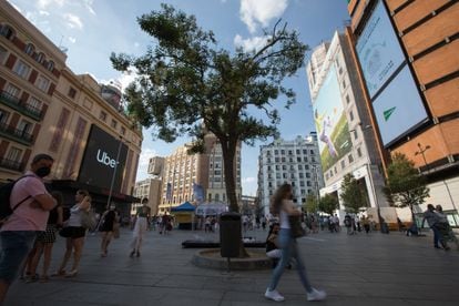 Árboles urbanos | Madrid | EL PAÍS