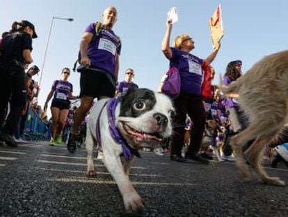 La VI edición de la carrera solidaria Perrotón, en favor de la adopción de animales, llena la Castellana de perros con sus respectivas familias humanas