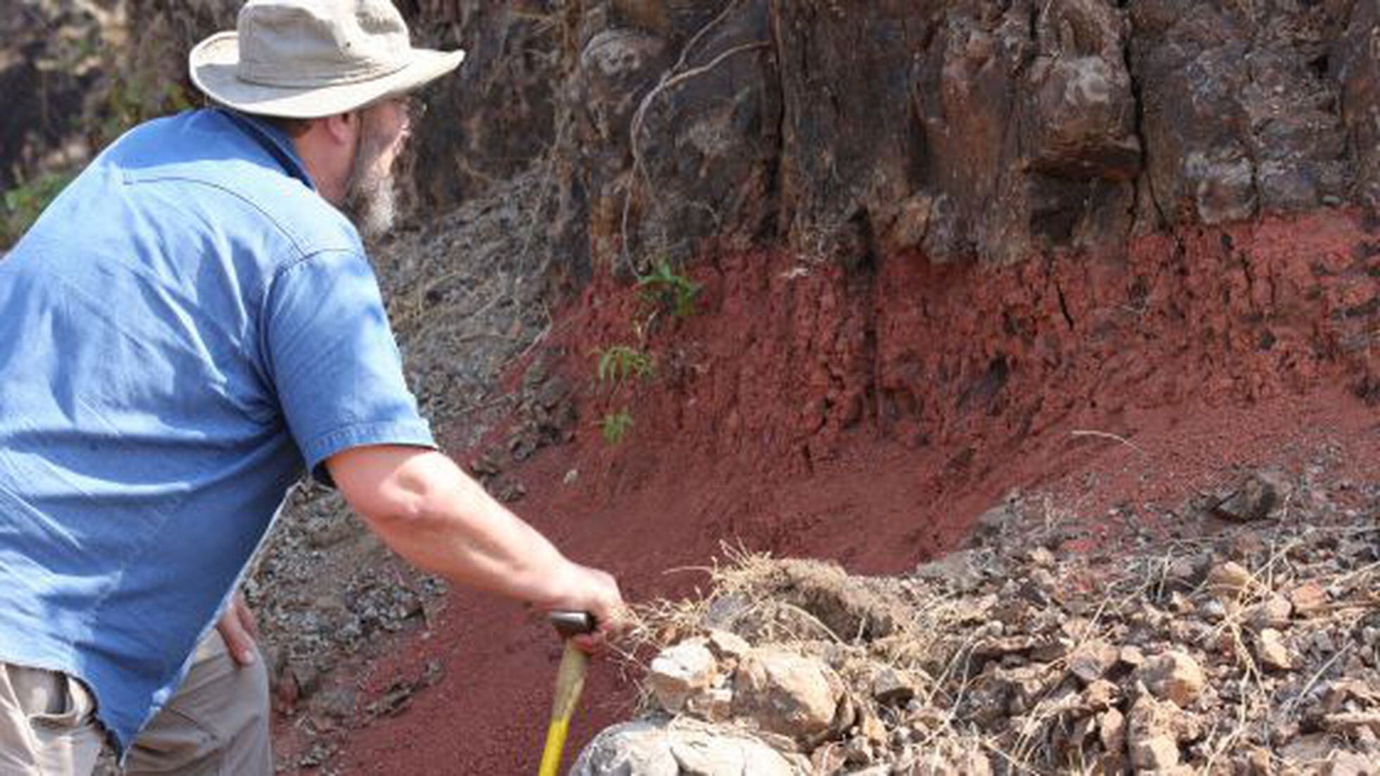 Los dinosaurios sobrevivieron al meteorito, pero no a la lava | Ciencia |  EL PAÍS