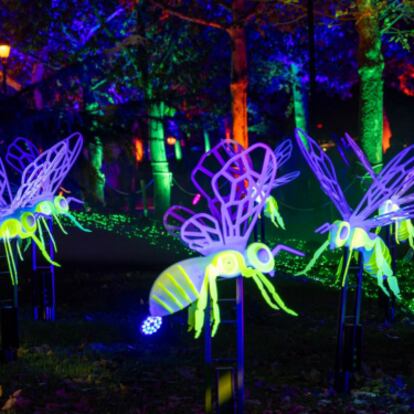 Entradas para Naturaleza Encendida en todas las ciudades