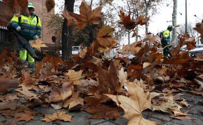 Operarios del Ayuntamiento de Madrid limpian las hojas caídas.