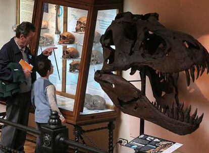 El Museo Geominero, en José Abascal, contiene también riquísimas colecciones paleontológicas.

Avión De Havilland <i>Dragon Rapide.</i>
