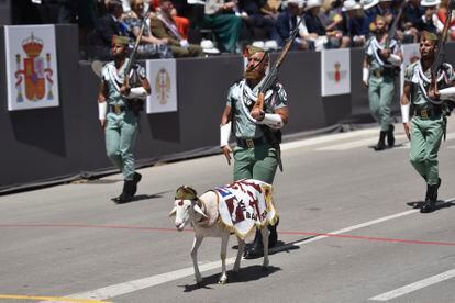 Efectivos de La Legión desfilan junto a un borrego blanco, la mascota 'Quillo.