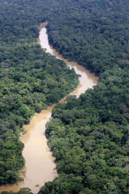Vista aérea del parque Yasuní, en Ecuador, una de las zonas con mayor biodiversidad del planeta.