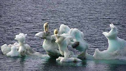 Dos osos sobre unos trozos de hielo ártico en el norte de Alaska.