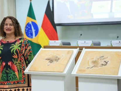 La ministra de Ciencia brasileña, Luciana Santos, posa junto al 'Ubirajara jubatus', el lunes 12 de junio.