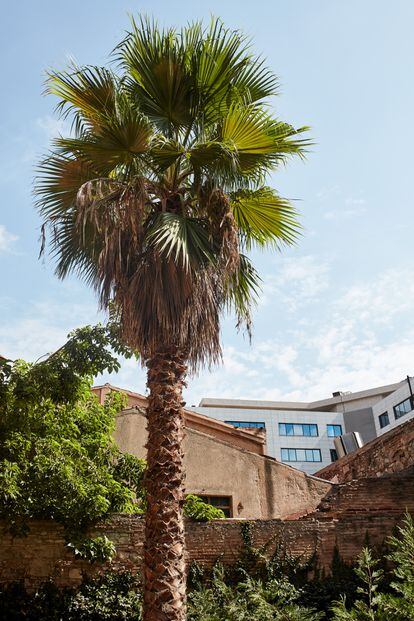 Vista del jardín de la casa de Francesc Pons, que da a la trasera de edificios industriales de Poble Nou.