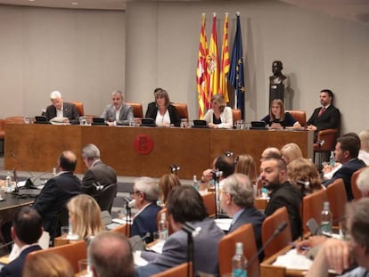 Ple de la Diputació de Barcelona d'organització de la institució.