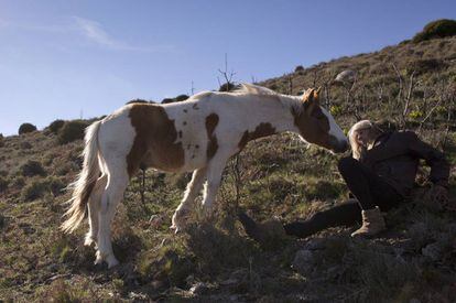 Lucy Rees da a oler su bota a un caballo en Piornal (C&aacute;ceres).