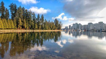 En el 'skyline' de Vancouver hay rascacielos y robles, pinos... Hasta 122.000 árboles han plantado en la última década y el 93% de sus habitantes tiene un parque a menos de cinco minutos a pie de su casa. |