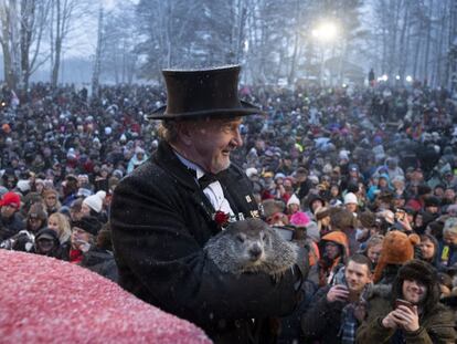 John Griffiths, del Club Groundhog, sostiene a 'Punxsutawney Phil', la marmota que pronostica la duración del invierno, durante la celebración del 1340 del Día de la Marmota en el Knobbler's Knob, en Punxsutawney (EE UU), este domingo.