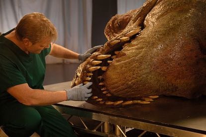 Procedimiento de autopsia de la reproducción de T. Rex por el equipo de veterinarios y paleontólogos.