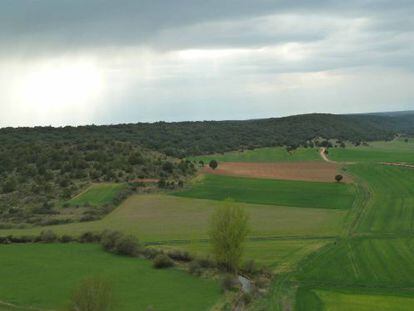 Los campos de Soria.