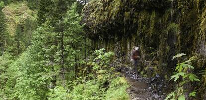 El Sendero del Macizo del Pacífico (Pacific Crest Trail) recorre Estados Unidos de norte a sur, desde el desierto de Mojave, en la frontera con México, hasta Canadá.