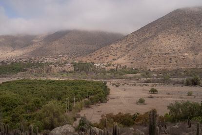 Las últimas encuestas indican que el rechazo al proyecto de Constitución lleva una ventaja de entre nueve y 16 puntos. En la imagen, una imagen típica de la provincia de Petorca muestra el contraste entre plantaciones de la agroindustria verdes frente a la cuenca seca del río Petorca.