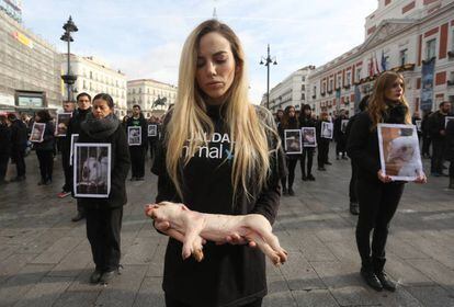 Manifestaci&oacute;n en Madrid, el pasado diciembre, de activistas de Igualdad Animal.