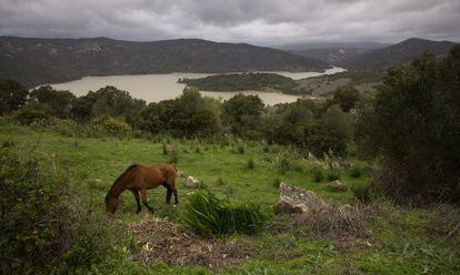 Finca La Almoraima, en Castellar de la Frontera.