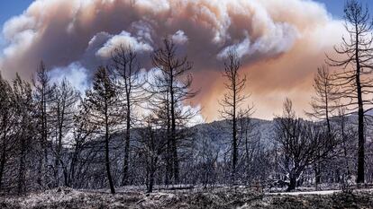 Imagen de la columna de humo generada en las inmediaciones de Montán y del embalse de Arenós, vista desde las inmediaciones de Villanueva de Villanueva de Viver.