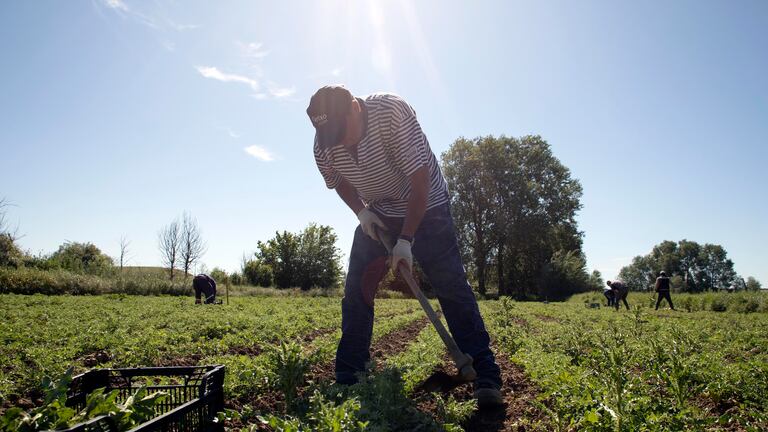 Un hombre labra la huerta de Carrascal de Pericalvo (Salamanca).