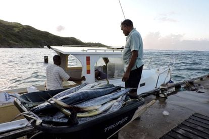 Pescadores descargan sus capturas en la costa Este de Barbados.