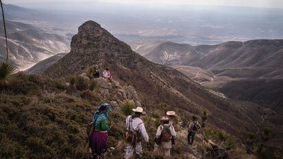 Wixárikas caminan por el desierto de Wirikuta en su peregrinación al Cerro Quemado.