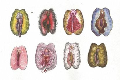 Anatomía de una intimidad confusa: cuando una vagina normal se convierte en  un complejo | Psicología | Buenavida | EL PAÍS